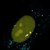 il virus HIV modificato per permettere la visualizzazione dell'RNA trascritto in giallo 